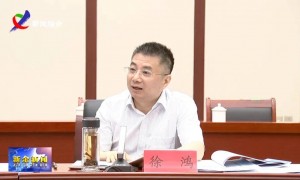 突然辞去市长职务的徐鸿，已被处分