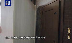 评论丨县级医院院长收回扣超2亿，也该查查权力“夹层”